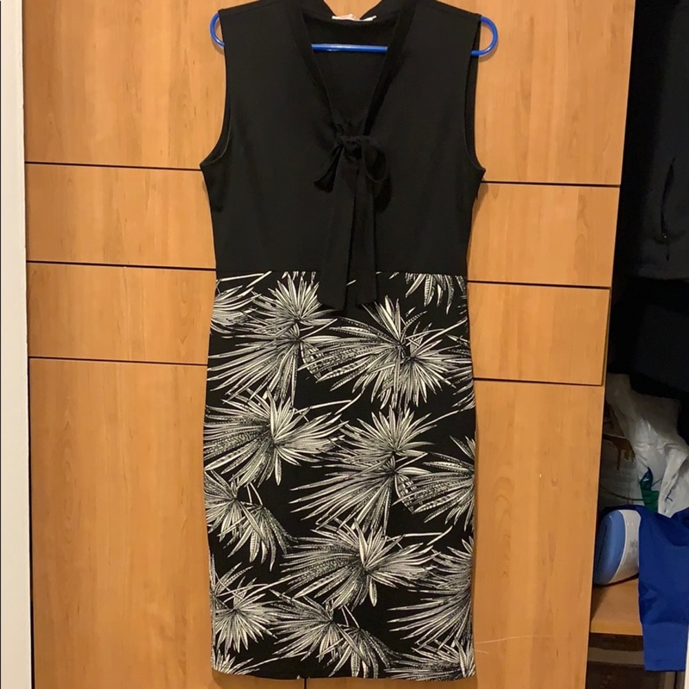 Sleeveless: Black and White Pencil Dress